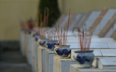 Khoan vội ‘cám ơn tuyên giáo’!