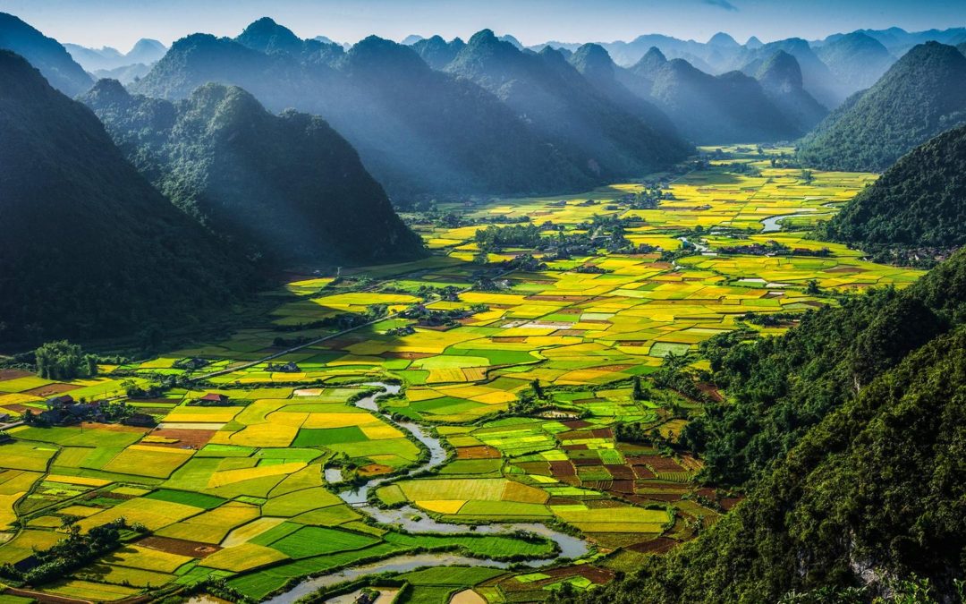 Đất nước mình rồi sẽ về đâu?