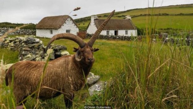 The British island that’s not in the UK