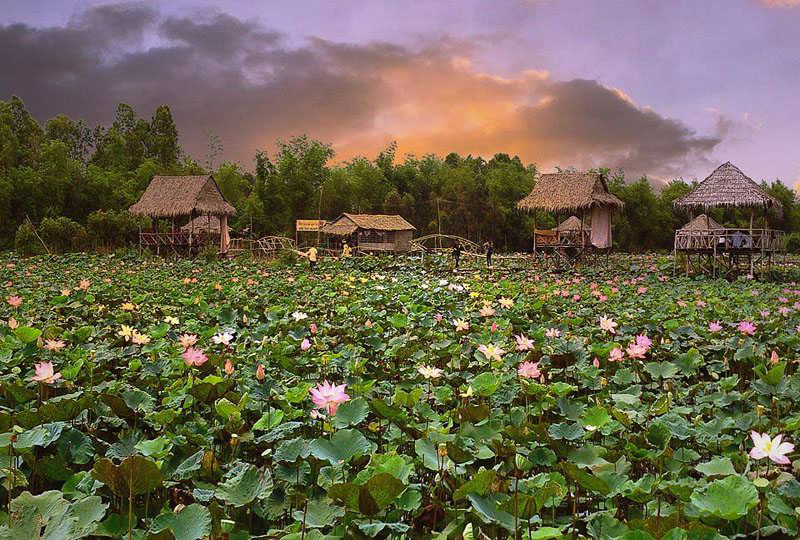 Tour Làng Hoa Sa Đéc – Vườn Quýt Hồng – Đồng Sen Tháp Mười ...