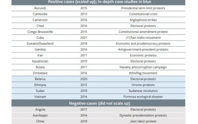 Freedom House: Bài Nghiên Cứu Về Cuộc Nổi Dậy Của Người Dân Việt Nam Năm 2016