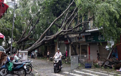 “Như một bộ phim kinh dị”: Bão Yagi đổ bộ vào Việt Nam