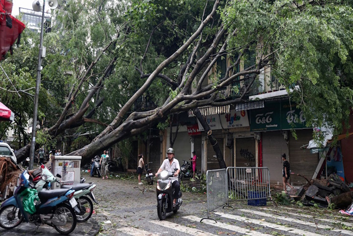 “Như một bộ phim kinh dị”: Bão Yagi đổ bộ vào Việt Nam