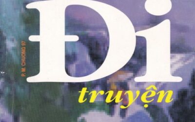 Đi! – Doãn Quốc Sỹ