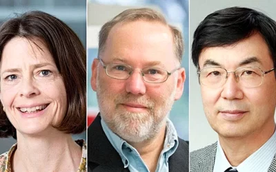 Nobel Y sinh 2025: Mở ra kỷ nguyên mới của miễn dịch học