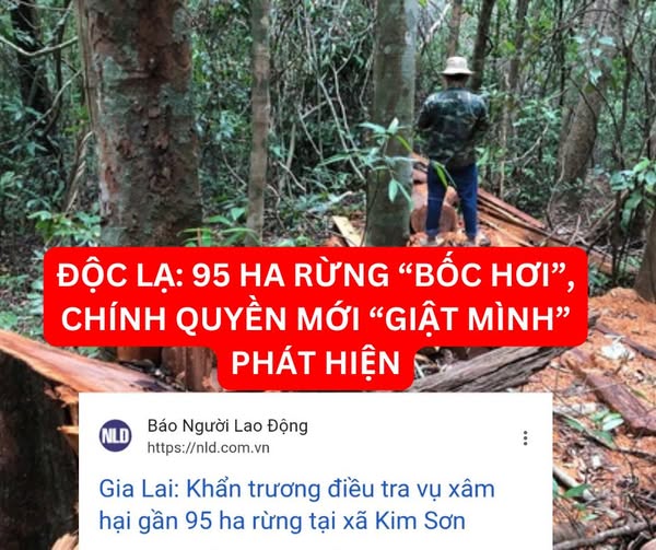 Độc lạ: 95 ha rừng “bốc hơi” chính quyền mới “giật mình” phát hiện