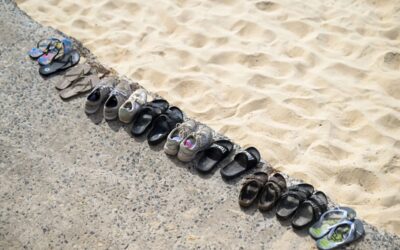 Bondi Beach: một vụ xả súng giết người và ba câu hỏi lớn cho nước Úc.