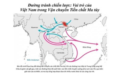 Cuộc Chuyển Vận Âm Thầm: Vai Trò của Việt Nam trong Đường Dây Cung Cấp Fentanyl và Thuốc Phiện Tổng Hợp Toàn Cầu