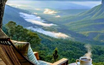 Chứa đầy dư ảnh…