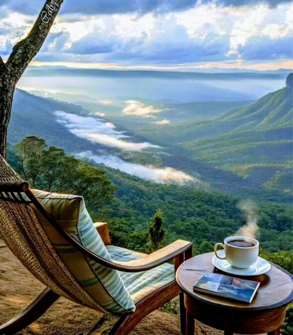 Chứa đầy dư ảnh…